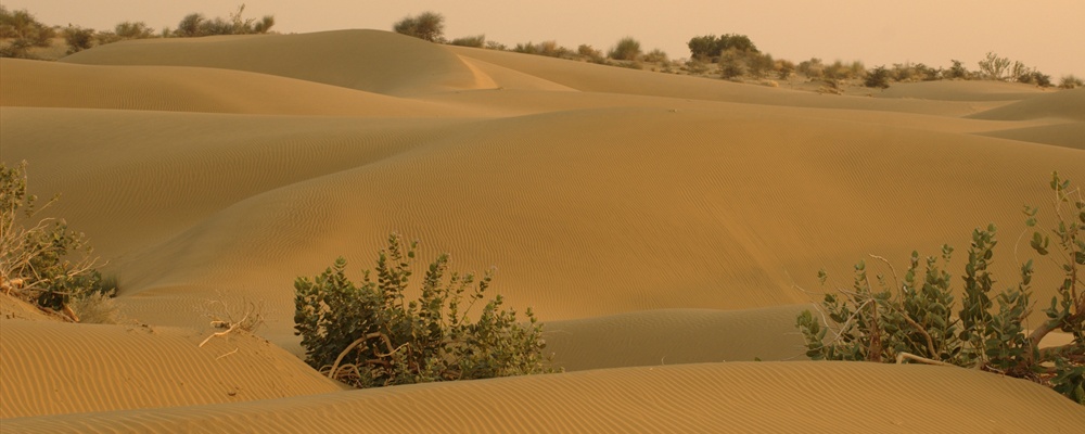Thar Desert IV.